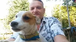 Як забавно гралися тваринки, а тим часам зробив сідушку в туалет.