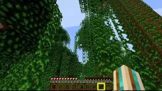 Minecraft: Flying Squid!