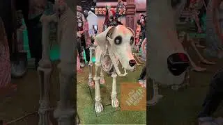 2024 Home Depot Halloween 🎃 | Animatronics Decorations | #shorts