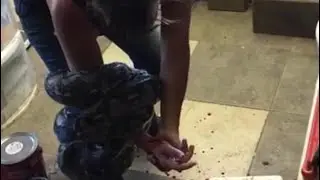 How Not To Feed A Snake