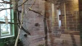 zoo Katovice