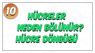 10.Sınıf Biyoloji | Hücre Bölünmeleri Giriş