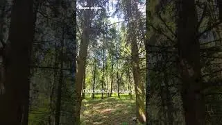 Сквер в г.Шуя