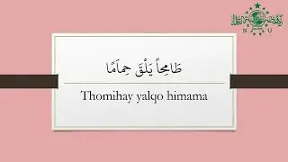 Lyric Ya Lal Wathon / Syubbanul Wathon no copyright