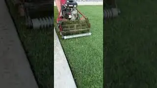 Cutting the lawn ASMR 