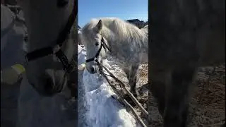 Весна пришла! 