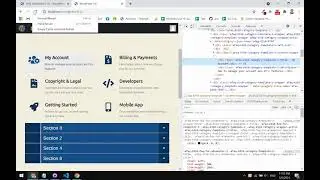 How to add Custom CSS |  Accordion FAQ with Category