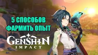 5 СПОСОБОВ ФАРМИТЬ ОПЫТ ! GENSHIN IMPACT