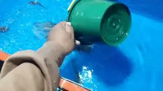 Raka lagi Nangkap Ikan LELE