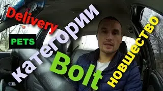 Bolt такси и новшество. Категории Delivery и Pets в Запорожье