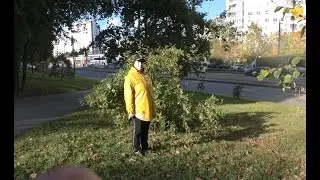 Ленок - В объятьях
