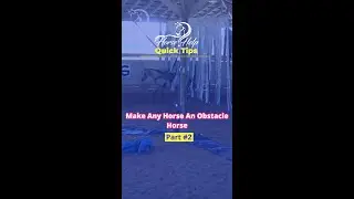 Make Any Horse An Obstacle Horse! Part 2! | The Horse Guru-Michael Gascon