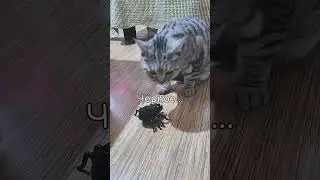 Чёрное.