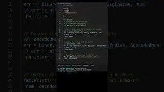 Encoding and Decoding Data Using BigEndian in Golang