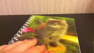 Мои рисунки по клеточкам🎨😚