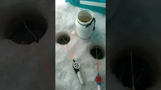 Ловля живца #shorts #рыбалка