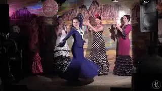 2018-09-23. 1. Фламенко в арт-кафе 