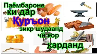 Паёмбароне, ки дар Қуръон зикр шудаанд, чӣ кор карданд