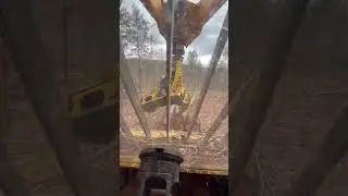 Bell Ultra C Feller buncher…Whacking and Stacking!!