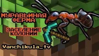 МУРАВЬИНАЯ ФЕРМА. ФОРМИКАРИЙ. ЗАСЕЛЕНИЕ КОЛОНИИ МУРАВЬЕВ