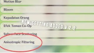 Genshin Update ver.2.2 Add new settings BUT Can you see the difference???