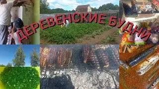 Жизнь В Деревне /Рушим Печь🤦‍♀️/Скумбрия На Мангале/29 июня 2022 г.