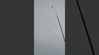 5 августа 2023 г.