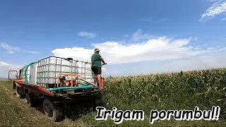 🚜La irigat porumbul cu Motopompa Ruris MP50 si Tractorul U650🚜
