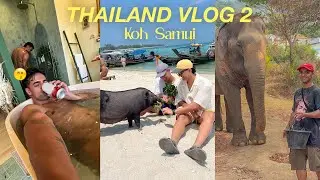 we visited a pig island + lived in the BEST elephant sanctuary 😭 (THAILAND PT 2)
