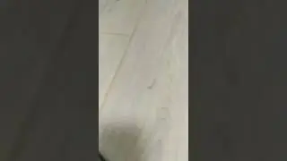 СНЮСАЕД Вернулся!!!!!!