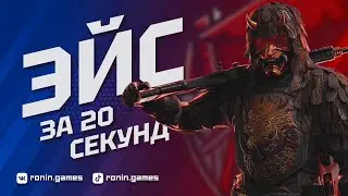 ЭЙС за 20 секунд | ВАРФЕЙС РМ