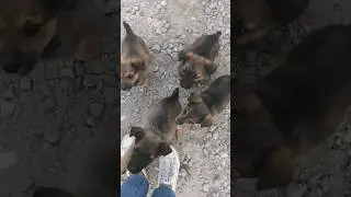 Находка. Часть 2. Голодающее Поволжье.