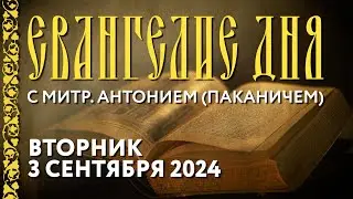 Толкование Евангелия с митр. Антонием (Паканичем). Вторник, 3 сентября 2024 года.
