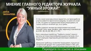 Выращивание Грибов Купить Мицелий
