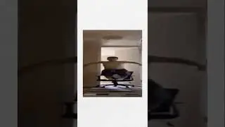 Коротко о фриск