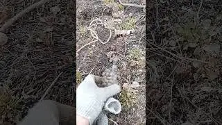 Какие раньше были интересные бутылочки после духов СССР