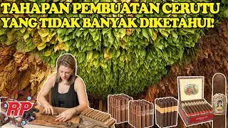 SURPRISING FACTS! THESE ARE THE STAGES OF MAKING CIGAR THAT ARE NOT MUCH KNOWN