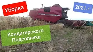 Уборка  Кондитерского подсолнуха 2021.г