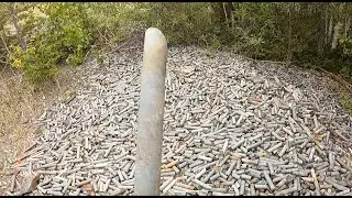 SILVER at Old Drill Core Pile