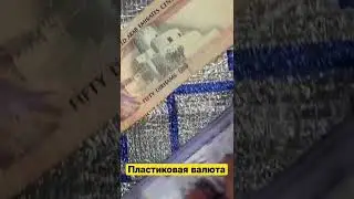 Пластиковая валюта, Эмираты 2022.