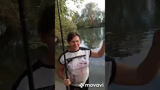 ❗Наконец выбрались на рыбалку за грибами 🎣🍄 28.09.2024 г. Курская область❗