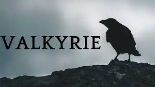 Valkyrie - Role Play ASMR