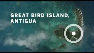 Antigua's Great Bird Island