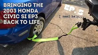 Bringing a 2003 Honda Civic SI EP3 Back to Life ep. 5 (K24?!)
