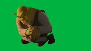 Shrek Rizz Meme Green Screen