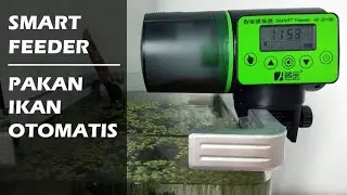 Review Pemberi Makan Ikan Otomatis | SMART Fish Feeder