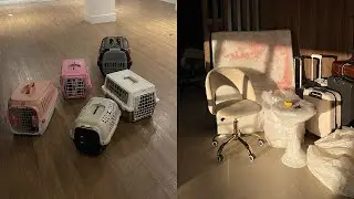 vlogão da mudança + adaptação dos gatos :)))