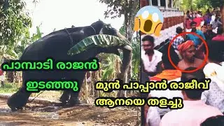 Pambadi rajan elephant attack | പാമ്പാടി രാജന്‍ ഇടഞ്ഞു |