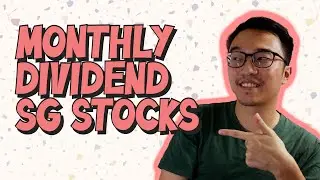 Best Singapore Dividend Portfolio to have now! 💲| Dividends for your retirement!