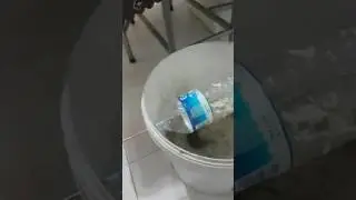 تله موش تضمینی